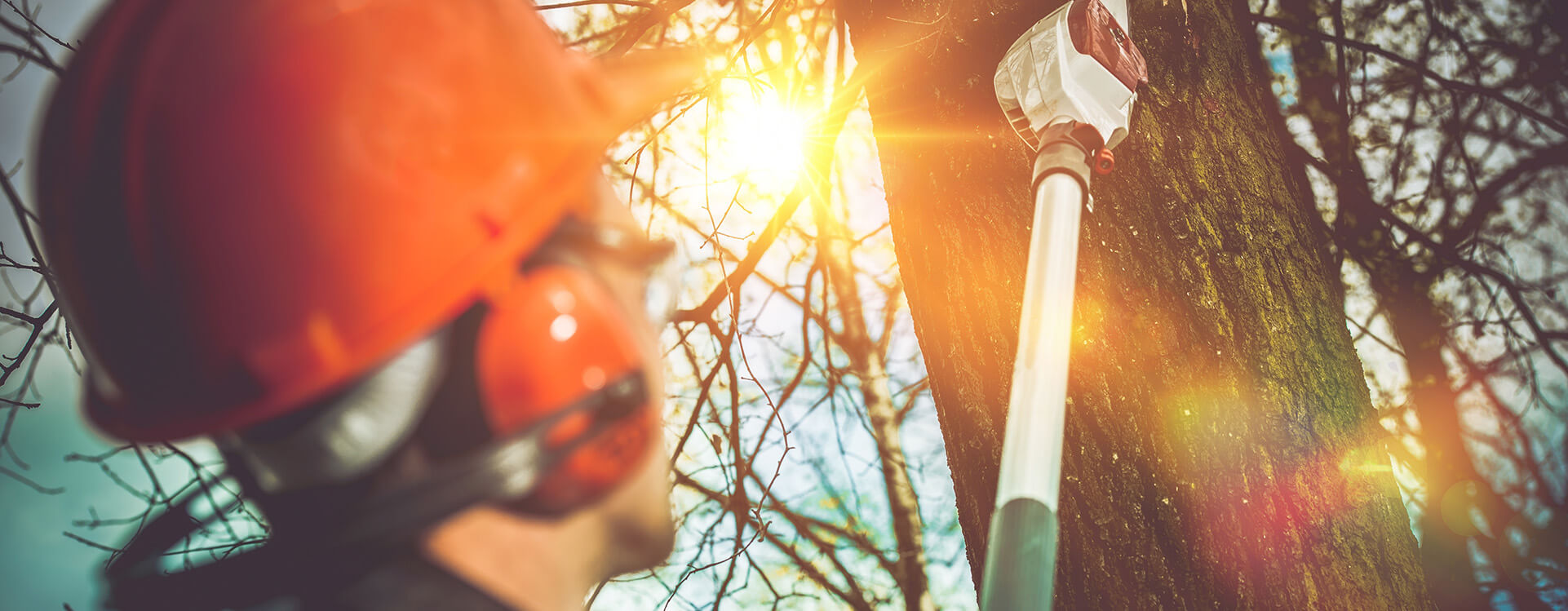 Hardscaping Services